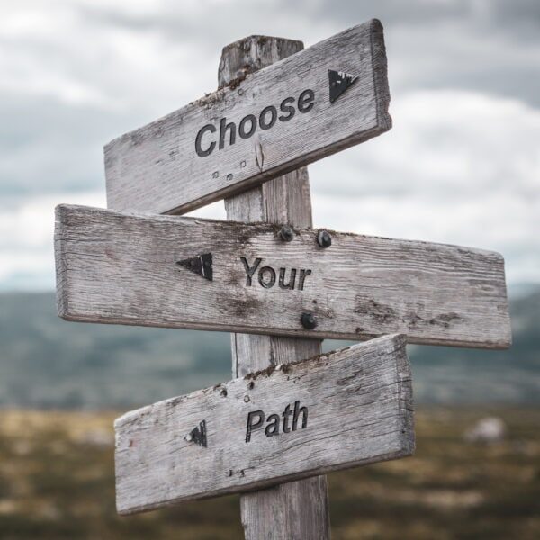 choose your path text engraved on wooden signpost outdoors in nature. Panorama format.